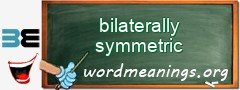 WordMeaning blackboard for bilaterally symmetric